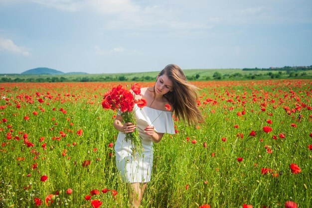 Beautiful woman gather red poppy flower bouquet in field summer or spring nature seasonal beauty landscape young girl in white dress walk in meadow vacation sense of freedom