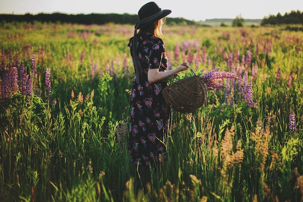 Beautiful woman gathering lupine in wicker basket in sunny field Tranquil atmospheric moment