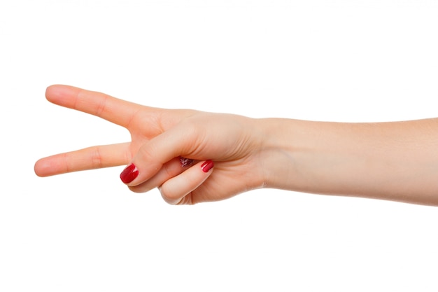 Beautiful woman hand sign holding isolated on white 