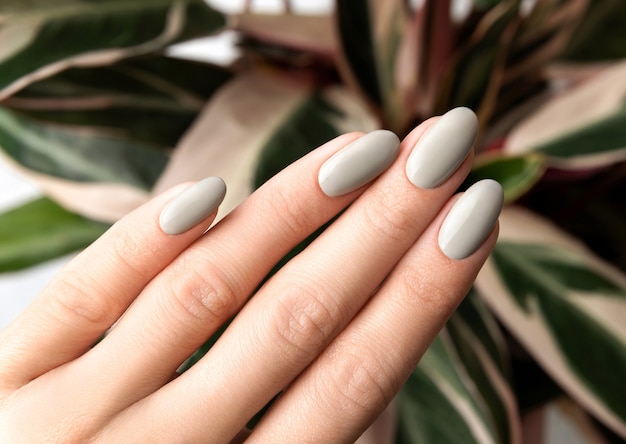 Beautiful woman hand with manicure over houseplant.