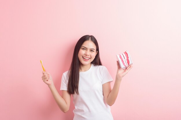 La bella donna sta tenendo il modello artificiale dei denti per la dimostrazione pulita dentale