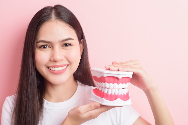 Photo beautiful woman is holding teeth artificial model for demonstration dental clean