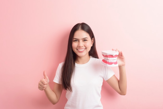 La bella donna sta tenendo il modello artificiale dei denti per la dimostrazione pulita dentale