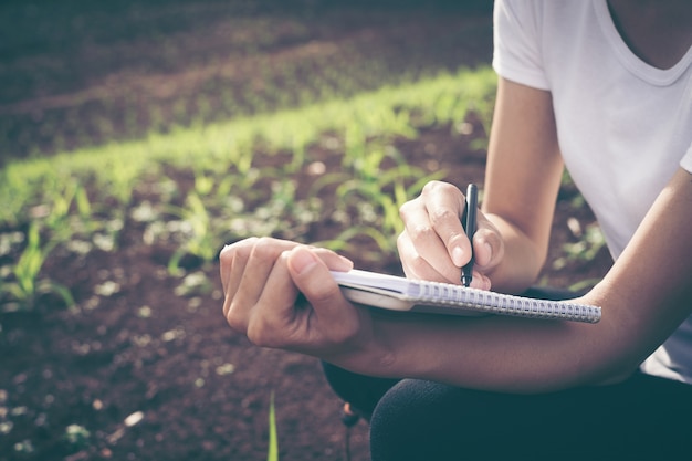 Beautiful woman plant researchers are checking and taking notes in corn seedlings fields.