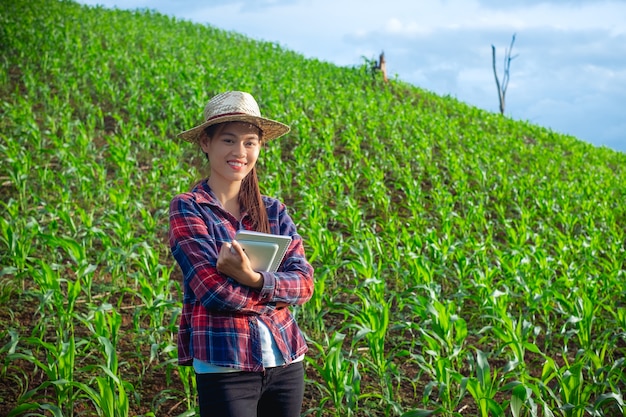 Красивые женщины-исследователи растений проверяют и делают заметки в полях саженцев кукурузы.