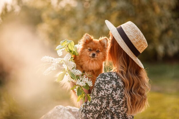 A beautiful woman in a red dress and hat holds a pomeranian\
spitz and a branch of white bird cherry in her arms