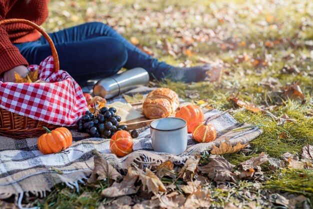 Photo beautiful woman in red sweater on a picnic in a autumn forest