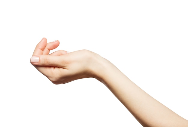 Beautiful woman's hand on the white background