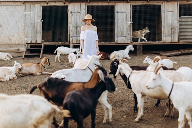 Bella donna e vestito bianco e con un cappello beige tra le capre in una fattoria ecologica