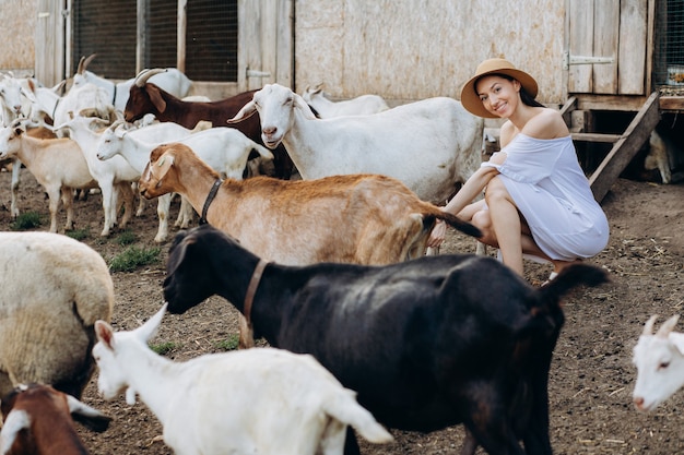 Beautiful woman and white dress and in a beige hat among goats on an eco farm