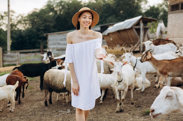 Beautiful woman and white dress and in a beige hat among goats on an eco farm