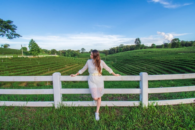 Красивые женщины восхищаются красотой и атмосферой чайной плантации Choui Fong, окруженной небом и горами. В Чианграе, Таиланд