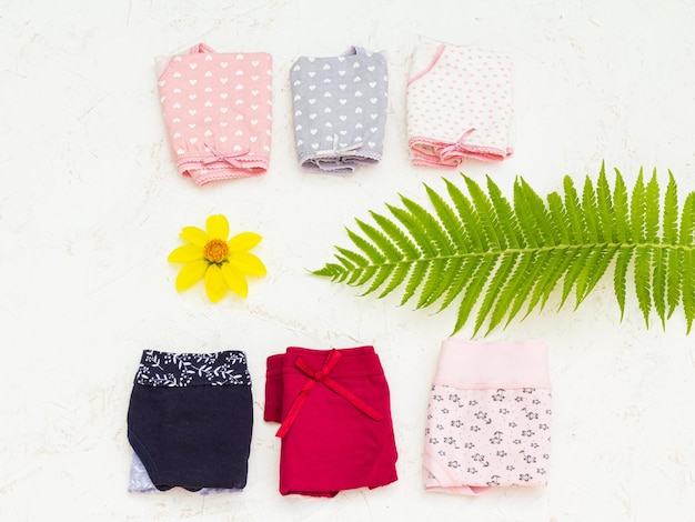 Beautiful women's cotton panties on white background with flower buds