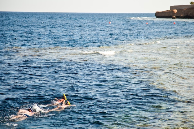 Beautiful women snorkeling in the tropical sea