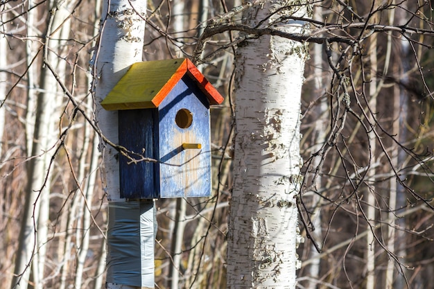 Photo beautiful wooden bird feeder in park