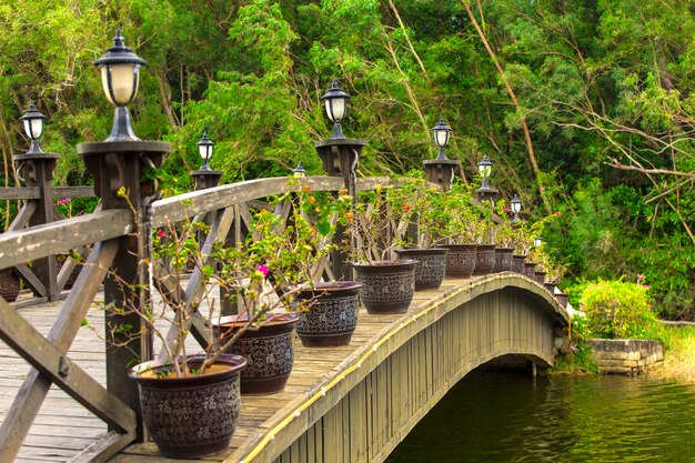 Beautiful wooden bridge across river.