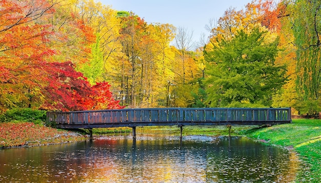 Beautiful wooden bridge over the pond in a colorful autumn park