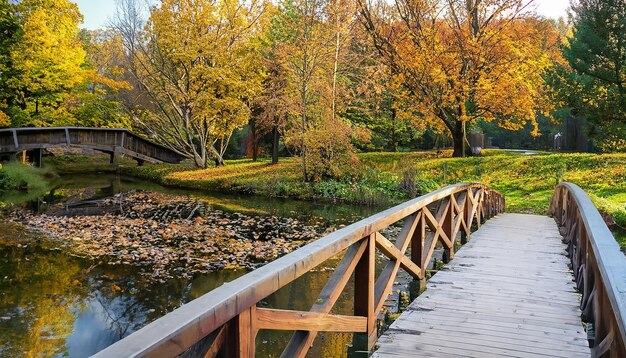 カラフルな秋の公園の池に架かる美しい木造の橋