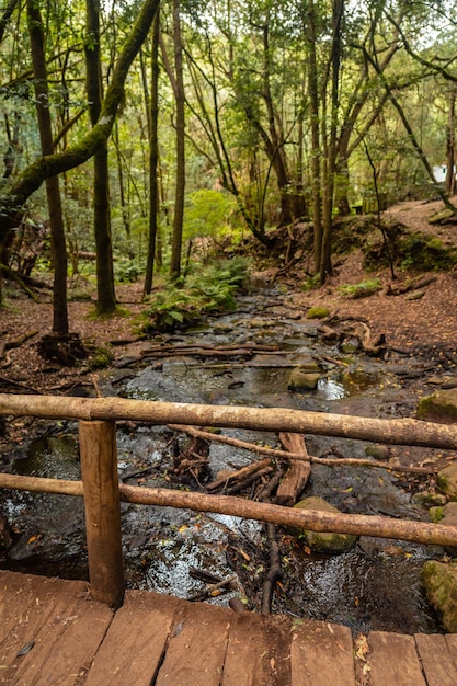 Beautiful wooden bridge on the river next to Arroyo del Cedro in the evergreen cloud forest of Garajonay National Park La Gomera Canary Islands Spain