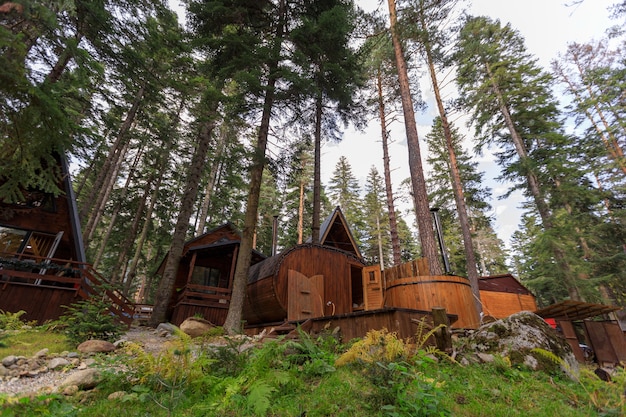 Foto bellissime case chalet in legno in montagna in mezzo alla foresta