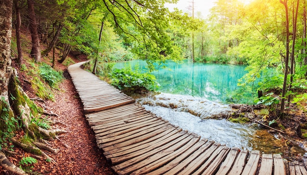 국립 공원 Plitvice 크로아티아에서 찍은 호수 옆에 아름다운 나무 길