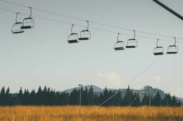 Beautiful yellow field in the mountains with lift