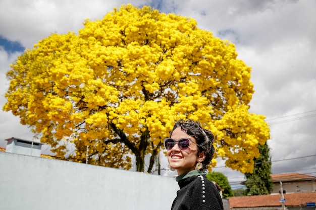 Bellissimo albero di ipe giallo nell'inverno brasiliano