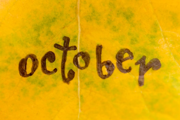 Beautiful yellow leaf with the inscription october background closeup