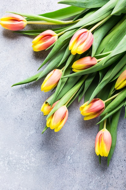 Beautiful yellow orange tulips