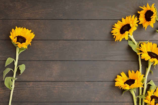 Beautiful yellow sunflowers on wooden background with copy space