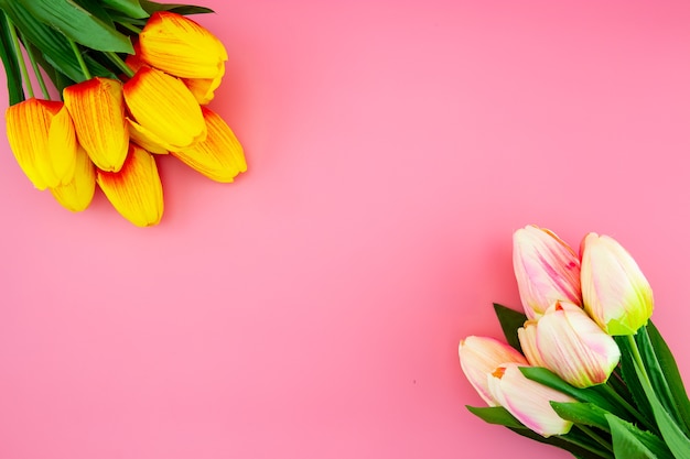 Beautiful of yellow tulip flower with flat lay on the pink background