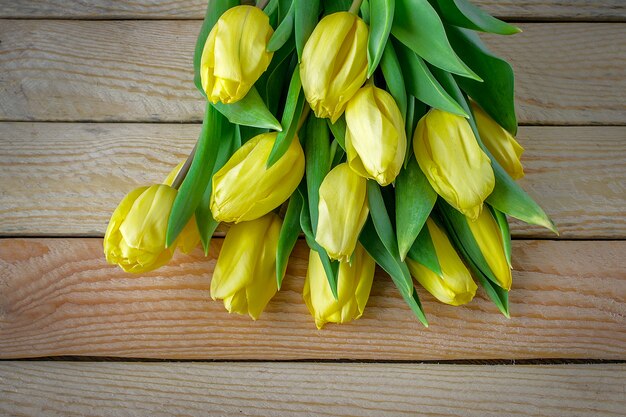 Bei tulipani gialli su fondo di legno