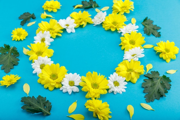 beautiful yellow and white flowers