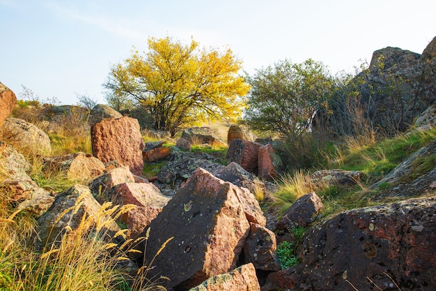 Beautiful yellowed vegetation and stones covered with lichen and moss hills in picturesque Ukraine