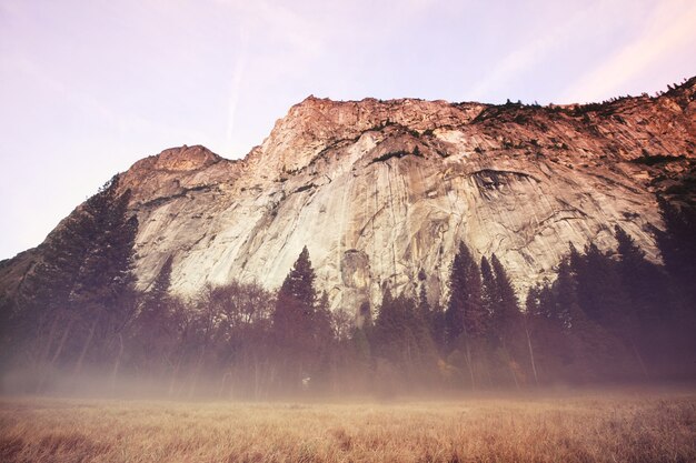 Foto bellissimi paesaggi del parco nazionale di yosemite, california