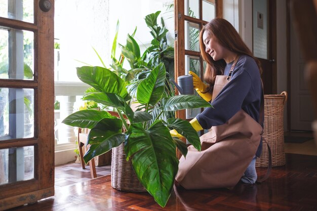 아름다운 젊은 아시아 여성이 집에서 물을 주면서 관엽식물에 물을 주고 돌보고 있다