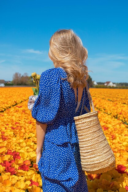 澄んだ青い空を背景に晴れた夏の日に黄色とオレンジ色の花のチューリップ畑で後ろから見たわらのバスケットを保持している青いドレスの美しい若いブロンドの女性自然旅行のコンセプト
