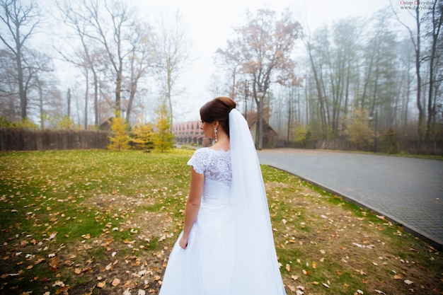 Beautiful young bride