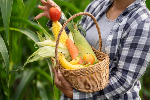 緑の竹かごに野菜を持っている美しい若いブルネットの肖像画の有名な女性の手