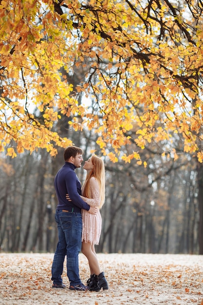 Beautiful young couple in love smiling happily on the background of yellow leaves on the trees