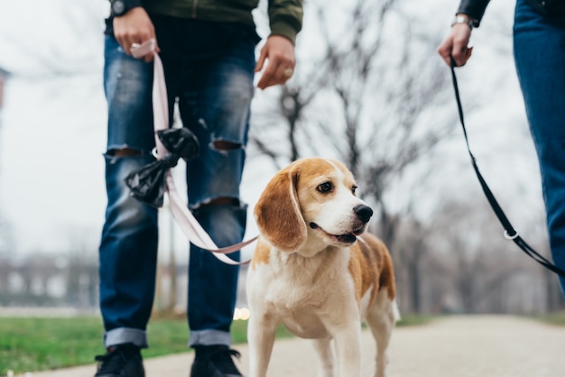 beautiful young couple with dog