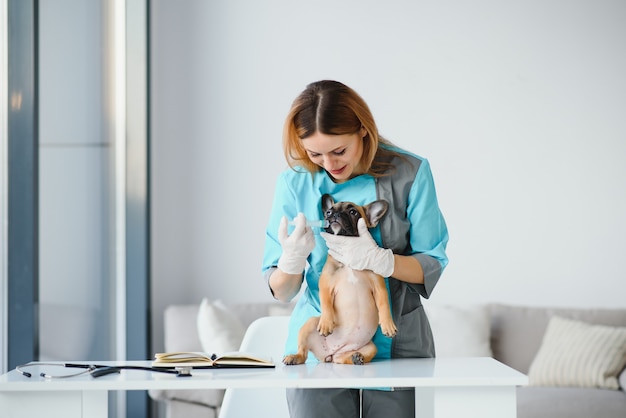 Bella giovane femmina veterinario esaminando cane in clinica