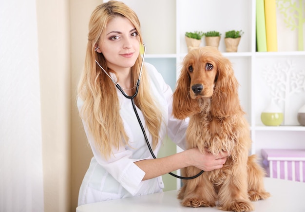 Beautiful young female veterinarian examining dog in clinic