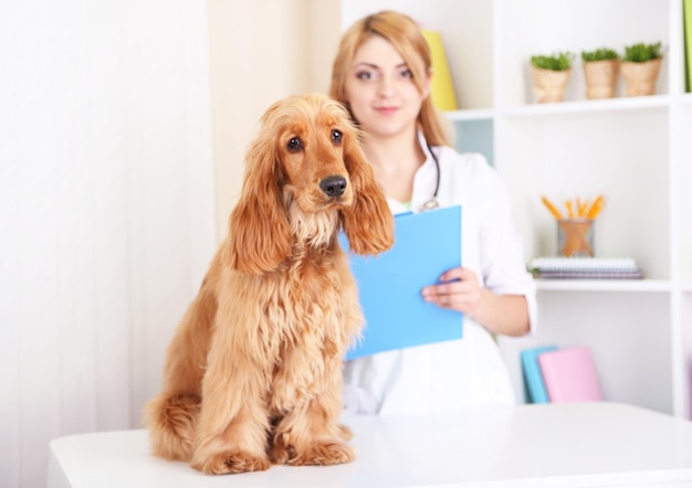 Beautiful young female veterinarian with dog in clinic