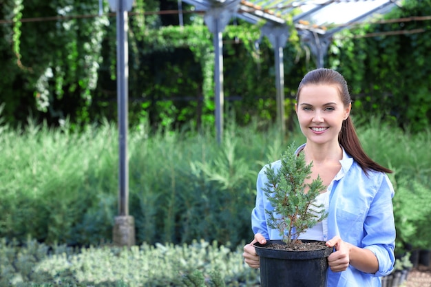 Beautiful young gardener holding pot with young fir tree plant