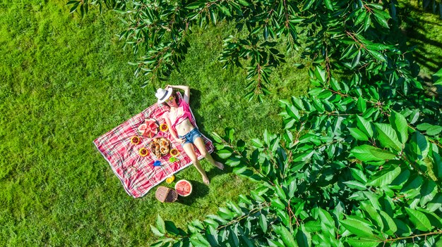 草の上でリラックス、屋外の公園、上から空中ドローンビューで夏のピクニックを持つ美しい少女