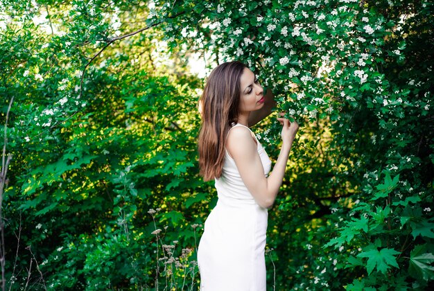 beautiful young girl in the summer in the park at sunset in a dress smiling