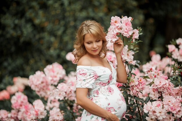 A beautiful young pregnant woman is walking in a rose garden. Portrait of a pregnant woman in a dress. Summer.