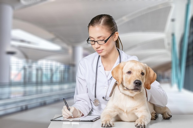 A beautiful young veterinarian with a dog on a blurred background