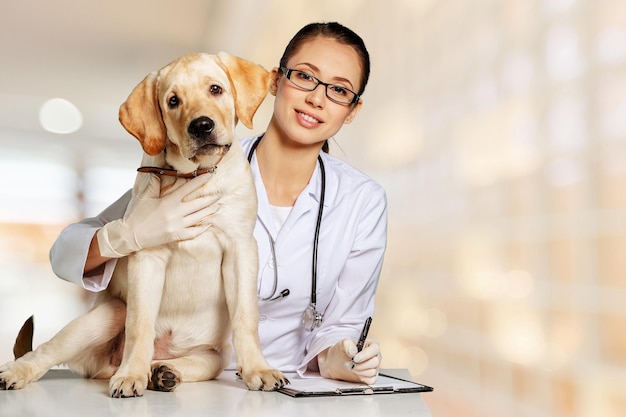 A beautiful young veterinarian with a dog on a hospital background